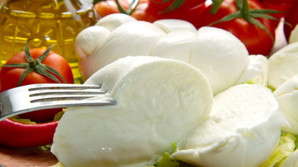 Everything you need to know about Mozzarella Cheese